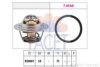 FACET 7.8721 Thermostat, coolant